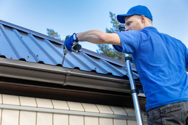 Best Gutter Installation and Repair  in Dadeville, AL